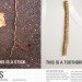 packaging-the-future, Green Resources, Green Products, green packaging, Green Materials, Green cleaning, Botanical, Miswak, biodegradable toothbrush, biodegradable materials, middle east inspiration, new york design, School of Visual Arts, re-design, re-packaging