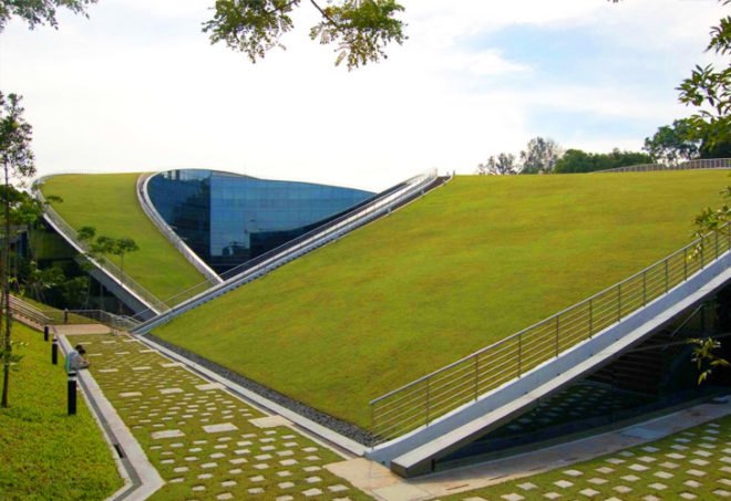 Green Roof Art School, CPG Consultants, School of Art, Design and Media, Nanyang Technological University, Singapore, architecture, eco design, green roof