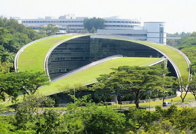 Green Roof Art School, CPG Consultants, School of Art, Design and Media, Nanyang Technological University, Singapore, architecture, eco design, green roof