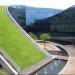 Green Roof Art School, CPG Consultants, School of Art, Design and Media, Nanyang Technological University, Singapore, architecture, eco design, green roof