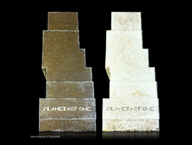 green building material, mycelium building, fungus building block, Mycoform, organic building material, organic building block, self generated building material, terraform one building, planetary one building, mushroom house, mushroom building block,
