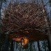 green design, eco-design, sustainable design, tree houses, birds nest, tree hotel, sweden, landscape, inrednin gsgruppen, wooden panels