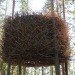 green design, eco-design, sustainable design, tree houses, birds nest, tree hotel, sweden, landscape, inrednin gsgruppen, wooden panels