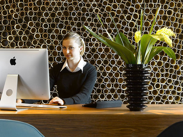 Vertical Garden,Recycled Materials,Green Materials,green Interiors,Green Holidays,green gadgets,Green Appliances,Eco Travel,Eco Textiles,Botanical,bamboo wall,paper wall,moss wall,recycled wood floor,prague,czech republic,czech design,artemida,apple computers,thai massage,swedish beds,oriental garden
