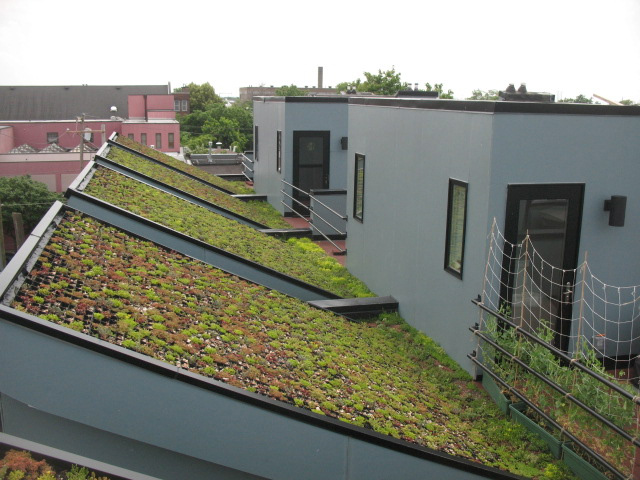 bancroft green, bancroft, leed certified home, leed home, green roof, green design, green architecture, green home, sustainable home, eco home