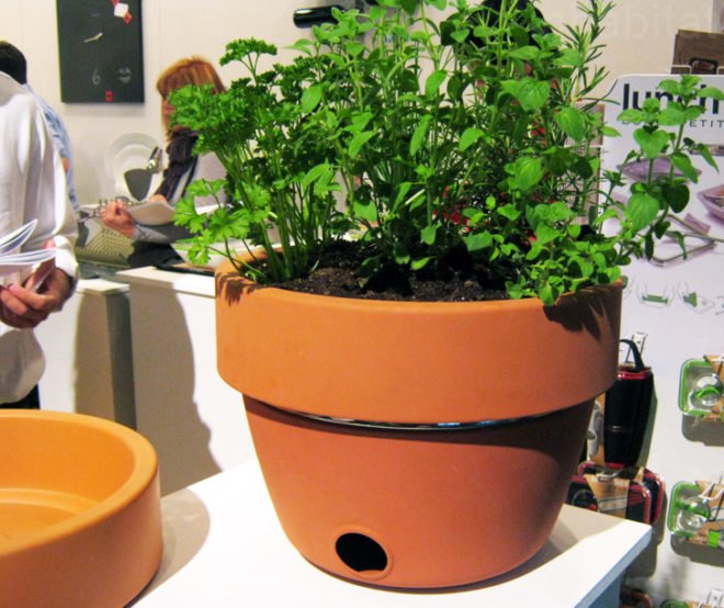 green design, icff, black + blum, gardening, “green furniture”, contemporary furniture, eco-friendly design, Furniture Fair, green design, icff 2011, icff 2011 nyc, icff new york city, inhabitat icff, inhabitat icff reporting, International Contemporary Furniture Fair, new york city furniture fair, nyc furniture fair plant pot, cooking