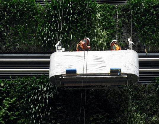 New Zealand, green walls, living walls, Britomart, Natural Habitats, eco-design, green design, green building, sustainable building, VOC, air quality, maori patterns, landscape architecture