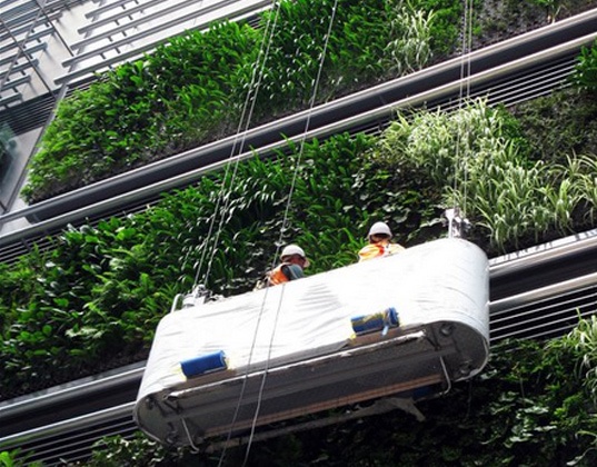 New Zealand, green walls, living walls, Britomart, Natural Habitats, eco-design, green design, green building, sustainable building, VOC, air quality, maori patterns, landscape architecture