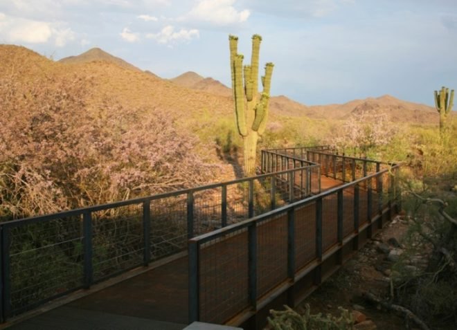 green building, net zero, green design, eco-design, sustainable design, rainwater harvesting, LEED, Platinum, Gateway, McDowell Sonoran Preserve, weddle gilmore black rock studio, biking, hiking, rammed earth, recycled materials, solar energy, water efficiency