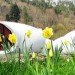 Unusual architecture, futuristic pod structures, Pascal Hausermann, Bubble houses, Museumotel, french pod hotel, concrete veil, innovative architecture