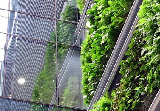 New Zealand, green walls, living walls, Britomart, Natural Habitats, eco-design, green design, green building, sustainable building, VOC, air quality, maori patterns, landscape architecture