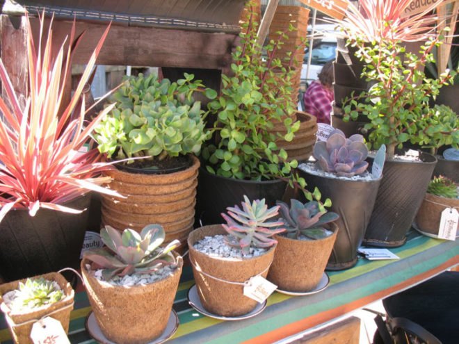 recycled tire planters, green planters, green gardening, gardening accessories, tire planters, recycled tires, recycled tire planters, ubeauty, eco gardening, recycled materials