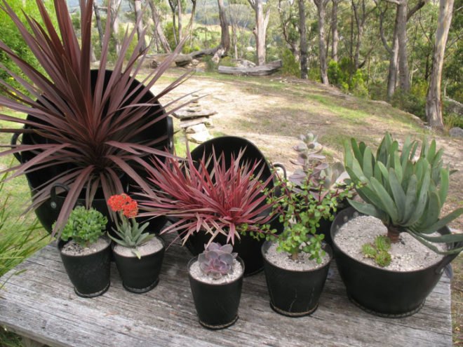 recycled tire planters, green planters, green gardening, gardening accessories, tire planters, recycled tires, recycled tire planters, ubeauty, eco gardening, recycled materials