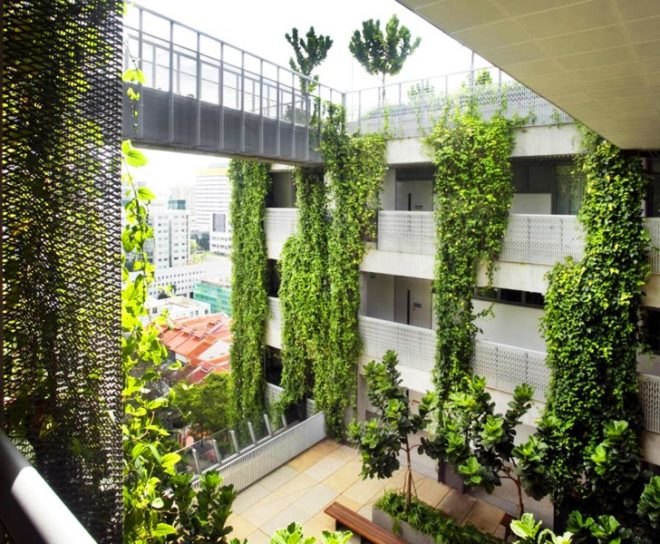 School of the Arts singapore, school of the arts, singapore schools, green schools, woha architects, green architecture, eco friendly schools, sustainable building, natural ventilation design, green roofs, green roofed schools