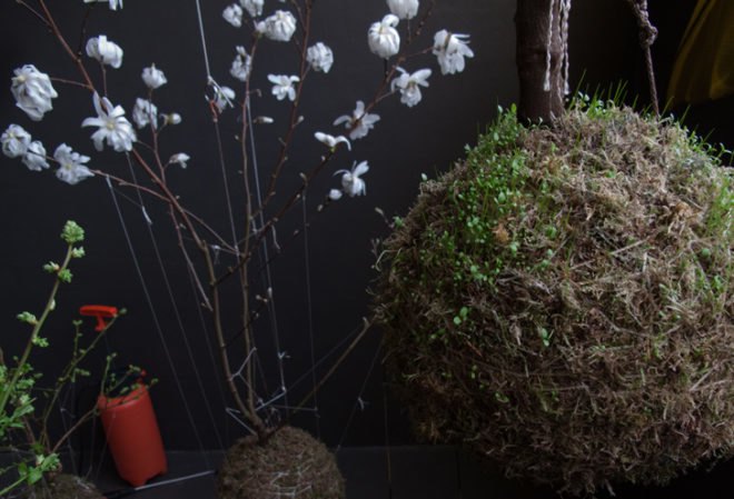 fedor van der valk, string gardens, alternative gardens, green products, eco design, green design, sustainable design, gardening, urban gardens, indoor gardens