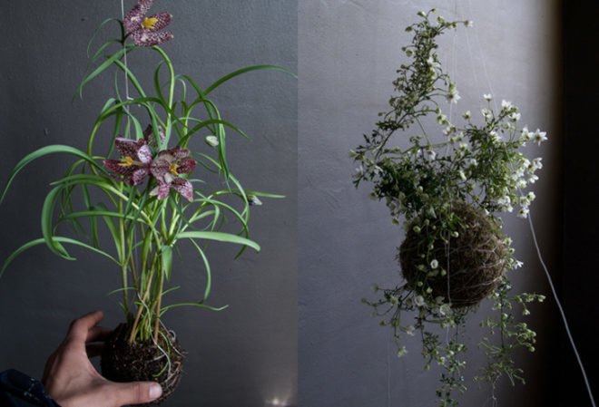 fedor van der valk, string gardens, alternative gardens, green products, eco design, green design, sustainable design, gardening, urban gardens, indoor gardens