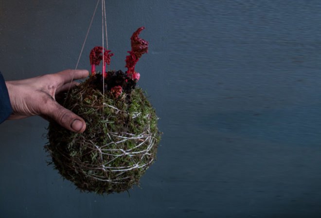 fedor van der valk, string gardens, alternative gardens, green products, eco design, green design, sustainable design, gardening, urban gardens, indoor gardens