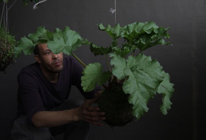 fedor van der valk, string gardens, alternative gardens, green products, eco design, green design, sustainable design, gardening, urban gardens, indoor gardens