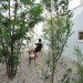 daylighting, Studio Velocity, Nagoya, Japan, hair salon, vanilla bean pie, sustainable architecture, eco-design, green design, sustainable design, green spaces
