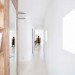daylighting, Studio Velocity, Nagoya, Japan, hair salon, vanilla bean pie, sustainable architecture, eco-design, green design, sustainable design, green spaces