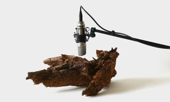green art, eco installations, zimoun, swiss artists, swiss art, eco art, artist zimoun, wormwood sculptures, dc motor sculptures, natural sculptures, technology and nature, eco artists
