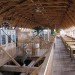 Johan Huibers, modern day arch, dutch man builds ark, noah's ark, the bible, Johan’s Ark