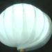 biomimicry, pillbug lamp, kristof kovacs, versatile lighting, bright ideas lighting competition, led lamp, green lighting,