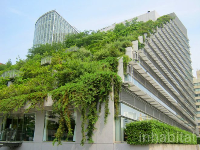 “sustainable architecture”, acros, Eco Architecture, eco design, Emilio Ambasz, fukuoka, grass covered building, green architecture, Green Building, green design, green roof, green space, Japan, Japanese, pyramid, sustainable design, urban space, Ziggurat, green roofed building in japan, green pyramid