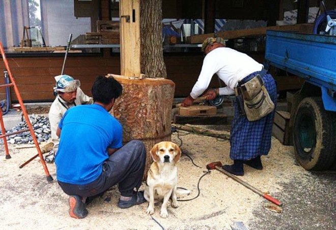 Architecture for Humanity, cameron sinclair, hiromi tabei, rebuilding japan, green architecture, eco architecture, inhabitat, inhabitat donation, japan earthquake, japan tsunami, sustainable architecture, architecture for humanity japan, japan disaster, humanitarian design, hikado marketplace, hikado