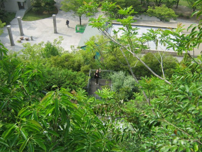 “sustainable architecture”, acros, Eco Architecture, eco design, Emilio Ambasz, fukuoka, grass covered building, green architecture, Green Building, green design, green roof, green space, Japan, Japanese, pyramid, sustainable design, urban space, Ziggurat, green roofed building in japan, green pyramid