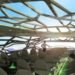 Airbus concept plane, transparent plane member, plane 2050 future, airbus 2050, holographic plane entertainment, bird bone plane design, airbus concept plane, transparent cabin walls