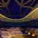Airbus concept plane, transparent plane member, plane 2050 future, airbus 2050, holographic plane entertainment, bird bone plane design, airbus concept plane, transparent cabin walls