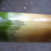 common cycles, alabamboo, bamboo bike, cross-country, bike trip, alabamboo bike, bikes, bamboo