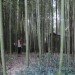common cycles, alabamboo, bamboo bike, cross-country, bike trip, alabamboo bike, bikes, bamboo