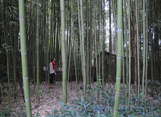 common cycles, alabamboo, bamboo bike, cross-country, bike trip, alabamboo bike, bikes, bamboo