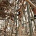 organic art, growing art, bamboo art, starn studios, MET bamboo, Venice bamboo, Venice biannual bamboo, Big Bambu Venice, eco art, bamboo tower, bamboo as building, bamboo art project, art tower, Venice art tower, green art, Bamboo art project Italy,