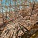 organic art, growing art, bamboo art, starn studios, MET bamboo, Venice bamboo, Venice biannual bamboo, Big Bambu Venice, eco art, bamboo tower, bamboo as building, bamboo art project, art tower, Venice art tower, green art, Bamboo art project Italy,