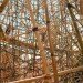 organic art, growing art, bamboo art, starn studios, MET bamboo, Venice bamboo, Venice biannual bamboo, Big Bambu Venice, eco art, bamboo tower, bamboo as building, bamboo art project, art tower, Venice art tower, green art, Bamboo art project Italy,