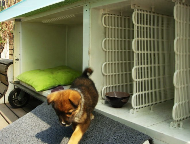 y-town, green design, eco design, sustainable design, recycled refrigerators, Huangpu River, SHanghai, dog house, recycled dog house, Chuichui,