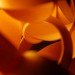 tom raffield, steam bending, led lamp, fsc, forest stewardship council certified, fsc certified, bright ideas lighting competition, philips lighting,