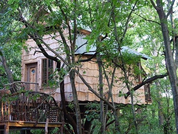Treehouses,Sustainable Materials,Sustainable Building,Recycled Materials,Green Resources,Green Materials,green Interiors,green furniture,DIY,Art,Architecture,cork floor,wooden frames,texas,huntsville texas,affordable housing,Recycled Materials,cars plates,soda cans,recycled aluminum