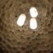 eco friendly lighting, plastic bottle light, recycled plastic bottles, upcycled plastic bottle, plastic bottle lamp, upcycled plastic bottle lamp, plastic bottle fixture, diy lighting, reused material light, reused plastic bottle light, ella light fixture, sarah turner, ella by sarah turner, eco friendly lighting solution, plastic bottle dome light,