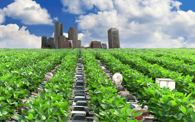 harvard, edward glaeser, harvard economist, urban farm, urban agriculture, rooftop farm, brooklyn grange, battery conservancy, turkey farm, turkey-shaped farm, vertical farm, vertical farms, urban density, energy use, carbon dioxide emissions, food miles, harvard university, alternative agriculture, green, green design, environmental design, green cities,