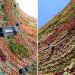 Ibiza Vertical Garden, Urbanarbolismo, vertical garden, living wall, green wall, ibiza