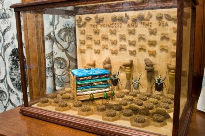 Jennifer Angus, insects, bugs, insect art, eco art, green art, bug installations, eco artist