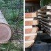 Recycling / Compost,Green Home decor,Green Materials,green furniture,Botanical,Art,wooden furniture,Design Academy in Eindhoven,ducth design,biodegradable furniture,locally sourced materials,