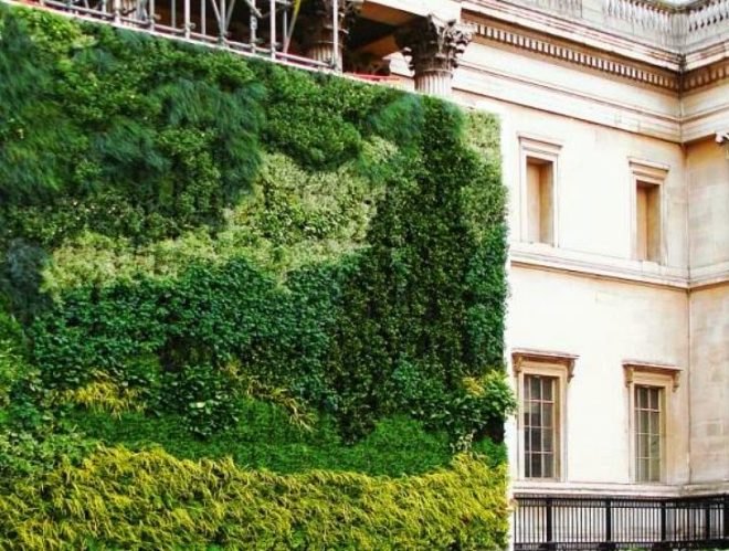 Living wall, van gogh, a wheatfield with cypresses, vertical garden, the national gallery, ans living wall system, london