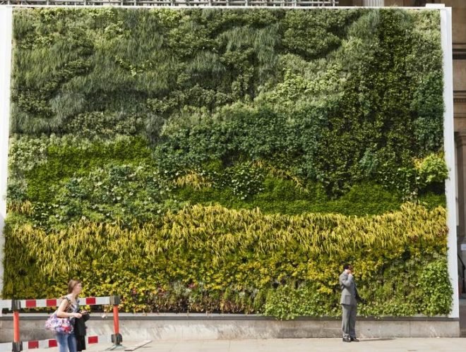 Living wall, van gogh, a wheatfield with cypresses, vertical garden, the national gallery, ans living wall system, london