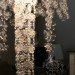 Recycled Materials,Green Home decor,Green Lighting,Green Design Competitions,Decorative Objects,Contests,Bright Ideas,michelle brand plastic bottle chandelier,plastic bottle installation,british design,