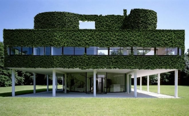 O' Mighty Green, STAR Strategies Architecture, green washing, living walls, sustainable architecture, green, satire